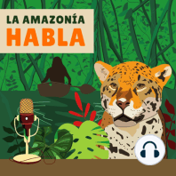 Amazonizarse- Una Condición para La Transición Ecológica con Belén Páez