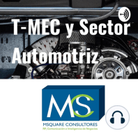 Podcast 10 Adenda: “Explicando las Consultas Formales en el sector automotriz”