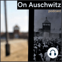 "On Auschwitz" (19): registration photographs of Auschwitz prisoners