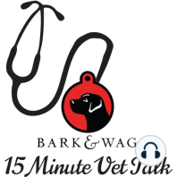 Bark & Wag 15 Minute Podcast