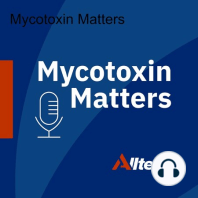 #11 Are low levels of mycotoxins dangerous to your livestock? | Dr. Radka Borutova