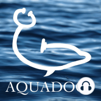 57. History Lesson on Aquatic Vets