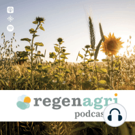 Small changes, big differences – exploring the role of cover crops in regenerative farming systems