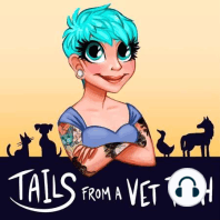 Tails from a Vet Tech Trailer Episode