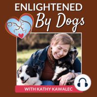 EBD 006 A Holistic Lifestyle For Your Dog