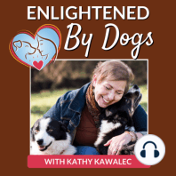 EBD027 Using The Power of Intentional Gratitude to Have A Brilliant Relationship with Your Dog