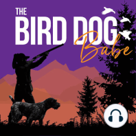 Episode 039: Bird Dog Paw Care w/ Dr Meg
