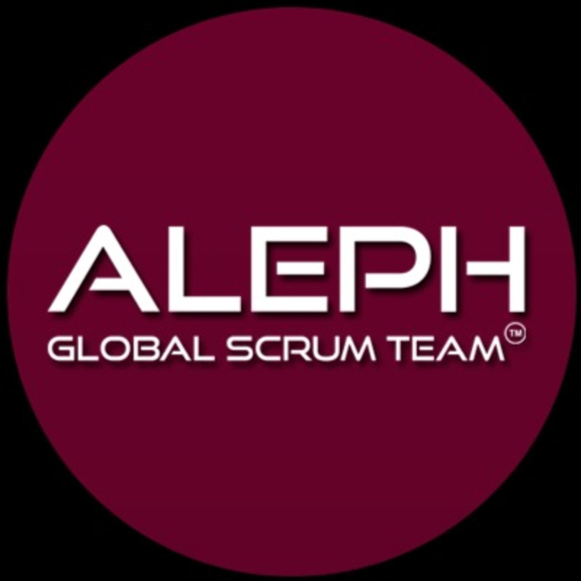 Lean Portfolio Management-Why Lean Portfolio Management? | ALEPH-GLOBAL ...