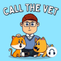 Veterinary Care Has Changed and YOUR Relationship With Your Veterinarian Has Never Been More Important - with Dr. Bryan Gregor