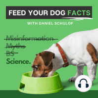 Introducing Feed Your Dog Facts!