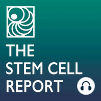 The ISSCR and Two Decades of Stem Cell Advances