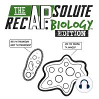 The APsolute Recap: Biology Edition - Mitosis vs. Meiosis