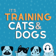 Control Unleashed with Cats and Dogs - with Leslie McDevitt