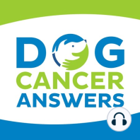 Leading My Dog’s Cancer Treatment Team │ Lauren Ebbecke #69