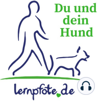 031 | 10 Tipps für Weihnachten mit Hund