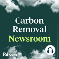 The role of carbon removal in a Green New Deal
