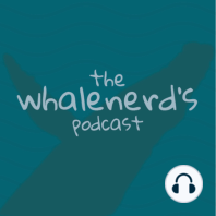 Episode 13 - Killer Whale Social Relationships &amp; Comparing Whale Sizes to Everyday Objects