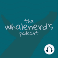 Episode 16 - Whale Watch Update, Killer Whales & Sharks