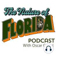 Environmental Journalist Craig Pittman talks about panthers, Florida springs and why there's so much poop in our waters