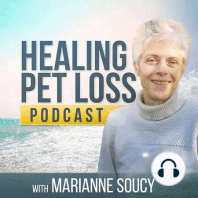 Q&A: "How did you know you had this gift of communicating with pets in the afterlife?"