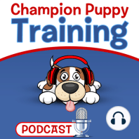 Puppy Potty Training for Pee