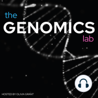 Remote control of gene expression: enhancers and the 4D genome with Professor Wendy Bickmore