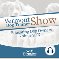 New Hampshire Dog Trainer Paula Bergeron