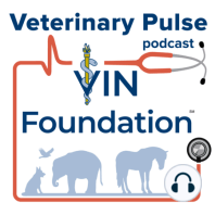 Lessons learned of applying to veterinary school with Amber McElhinney