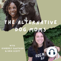 Alternative Dog Moms, Ep. 2 - Supplements for Dogs, Sleeping with Dogs, and the Container Store