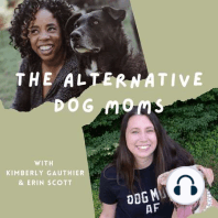 Alternative Dog Moms, Ep 6 - Getting Woo Woo as We Discuss Animal Soul Sessions and Letting Dogs be Dogs