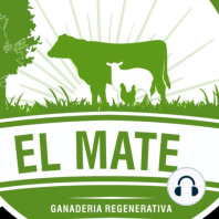 El Mate Live #7 "Criptomonedas"