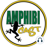 Episode 14. Amphibians in the News and Thoughts on Building a Frog Room