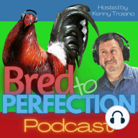 Ep21 - 6 need to knows before beginning your breeding