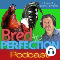 Ep50 – Chicken Chat with Tony Saville
