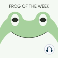 The Black Rain Frog | Week of April 9th