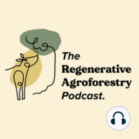 #34 Building relationships to scale agroforestry with Kaitie Adams