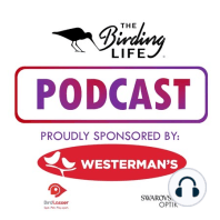 The Birding Life Podcast Episode 10 - Melissa Howes-Whitecross part 2 (Birdlife South Africa)