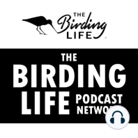 Episode 35 - The Birding Big Day Episode