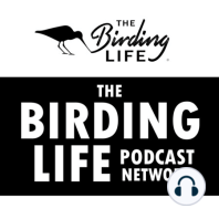 Episode 36 - The Birding Life Show December 2020