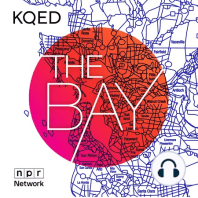 Introducing The Bay