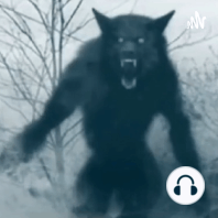 Interview With Govmnt Agent Who Hunts Sasquatch & Dogmen & My Daughter's Stories & More...