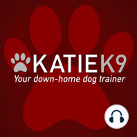 4/24/22 | Hr 1: What To Do When You Adopt an Untrained Dog