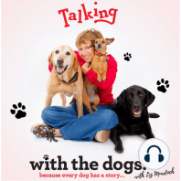 Katy Cable and Olive talk Dog Rescue