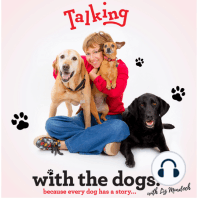 Financial Consultant Tracey Bissett Talks with her Golden Retriever