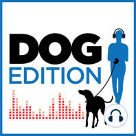 Stewart the Hotel Dog | Dog Edition #59