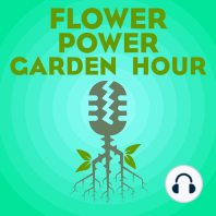 Flower Power Garden Hour 103:  David Wooten, A Quarter Acre & No Mule