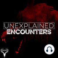 260 | Humanoid Encounters, Shapeshifter Sightings, and Walmart Horror Stories!