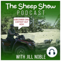 The tale of tails - animal welfare and lamb pain management using Numnuts with inventor Robin Smith