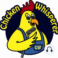All About Chicken Waterers