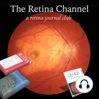 E24-Acute Retinal Angiographic Changes with Intravitreal Injections-Dr. Richard Rosen